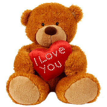 i love you teddy. i lvoe you teddy bear